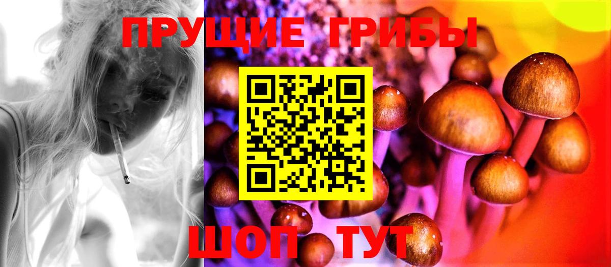 Новоалександровск  Галлюциногенные грибы MAGIC MUSHROOMS  Вход с VPN 